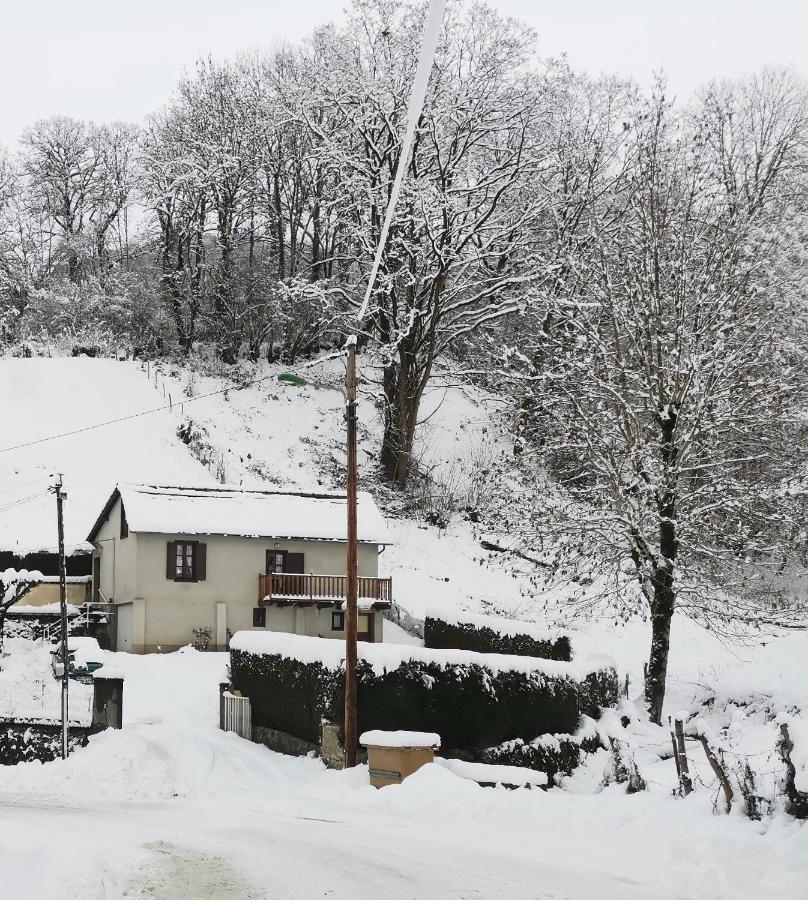 Maison D'Hote, Gite, La Maisonnette Vic-sur-Cère Esterno foto