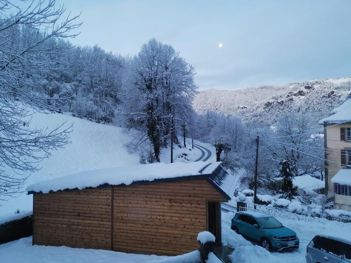 Maison D'Hote, Gite, La Maisonnette Vic-sur-Cère Esterno foto