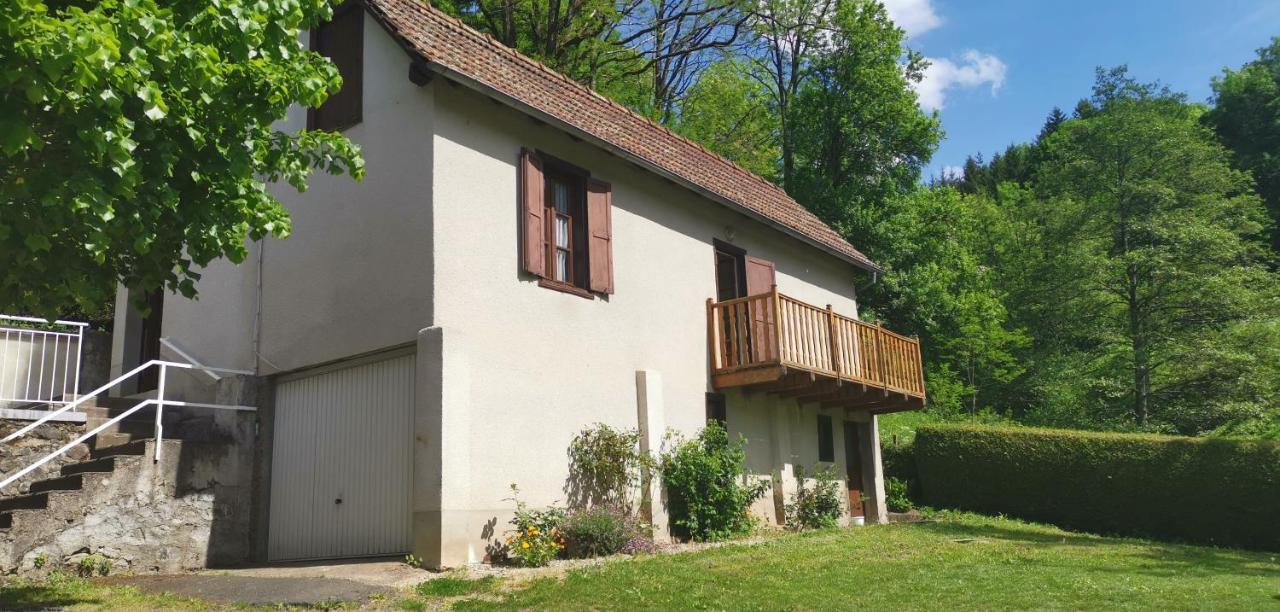 Maison D'Hote, Gite, La Maisonnette Vic-sur-Cère Esterno foto